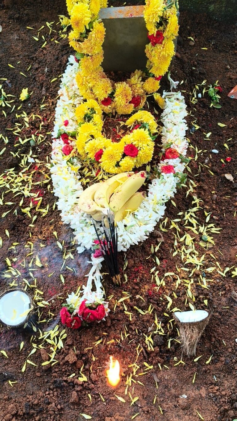 whatsapp image 2025 10 07 at 15.11.12 b381ada7